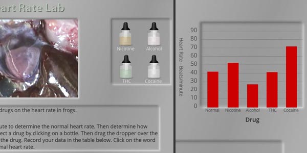 Frog Heart Rate MiniLab